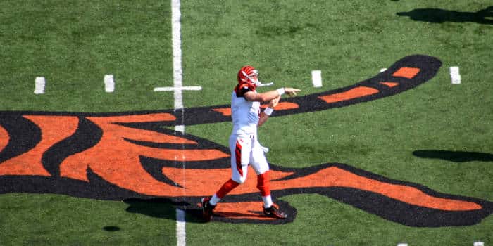 辛辛那提猛虎队对阵克利夫兰布朗队 2025 NFL 赔率,时间及预测